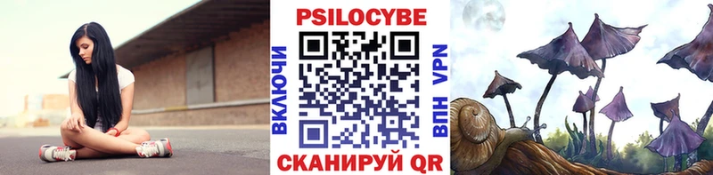 как найти закладки  Терек  это как зайти  Псилоцибиновые грибы прущие грибы 