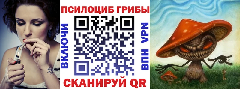Галлюциногенные грибы Psilocybine cubensis Терек
