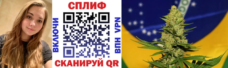 Каннабис White Widow ссылка на мегу ТОР Терек закладка