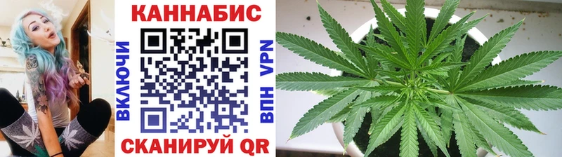 Конопля марихуана Терек